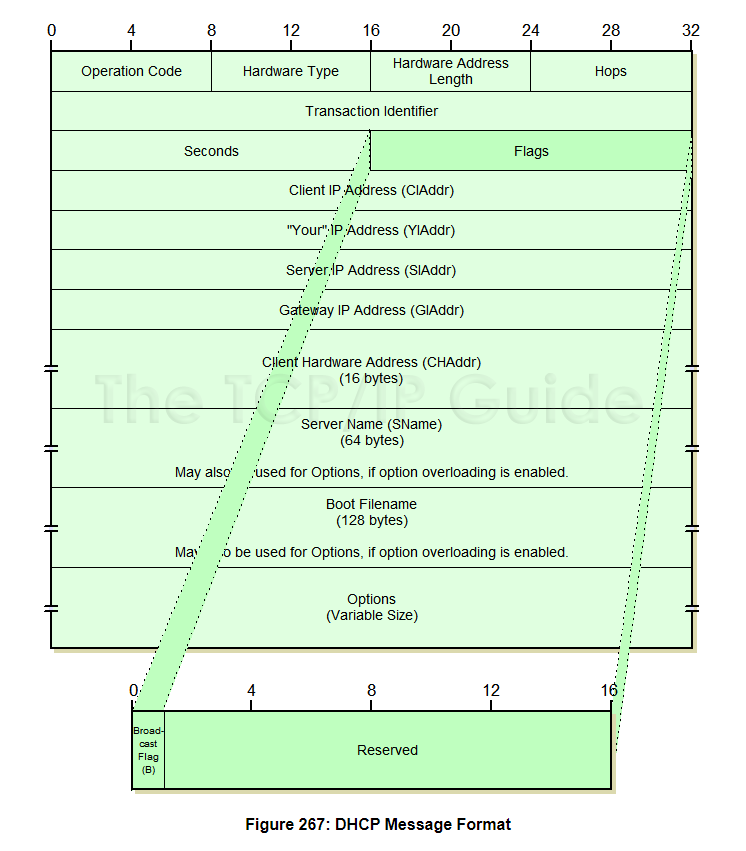 DHCP message format